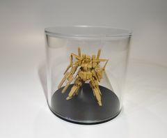アクリル小型ケース100φサイズ（台座黒マット）