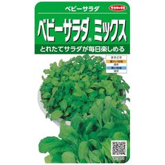 【在庫限り】実咲野菜 ツケナ ベビーサラダミックス 小袋003037