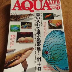 月間アクアライフ【中古】2009年月11号