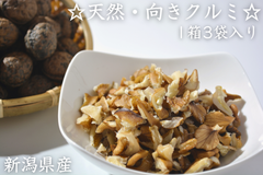 冬の数量限定商品！「天然・向きクルミ」　☆1袋100ｇ3袋入り☆