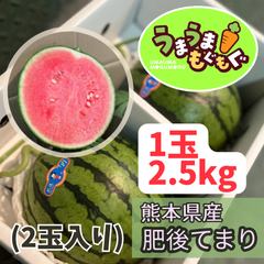 【数量限定品】熊本県産　肥後てまり　5kg（2玉） 西瓜　小玉スイカ　小玉すいか　スイカ　すいか　ひごてまり