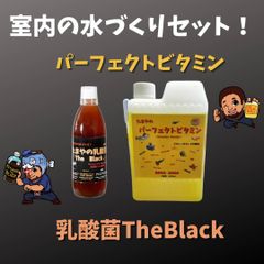 水づくりセット
