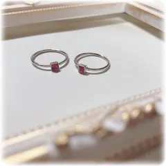 デンマークMetronome平均律クラヴィーア曲全曲ロベルト・リーフリング