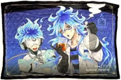 【中古】抱き枕カバー・シーツ イグニハイド寮(実験着) ひざ掛け 「ディズニー ツイステッドワンダーランド」