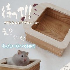 ハムスター フード入れ 水飲み 餌入れ エサ 器 小動物 お皿 デグー フードボウル えさいれ ゴールデンハムスター ジャンガリアンハムスター 木製 知育トイ 脳トレ
