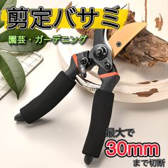 剪定ばさみ 園芸用品 剪定バサミ ガーデニング 枝切りバサミ 植木ばさみ 剪定ハサミ 剪定はさみ 剪定鋏 剪定 盆栽 生け花 ガーデン用品