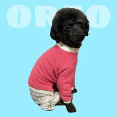 チェックロンパース　small ワンサイズのみ。