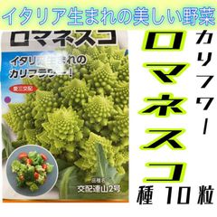 【珍しい野菜】ロマネスコ～イタリア生まれの美しい野菜～カリフラワー　種１０粒