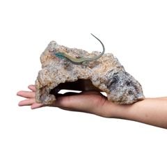 爬虫類 レオパ シェルター トカゲ カナヘビ 亀 ロックシェルター 爬虫類シェルター 岩 隠れ家 M