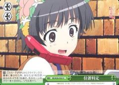 [중고]바이스슈발츠 RG/W26-055[CC]:위치 특정