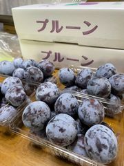 長野県産　生プルーン　2kg！