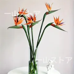 2025年最新】極楽鳥花の人気アイテム - メルカリ 2025年最新】極楽鳥花の人気アイテム - メルカリ
