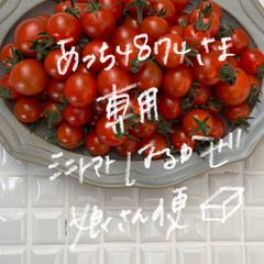 【あっち4874様専用】完熟ミニトマトはるかぜ1kg
