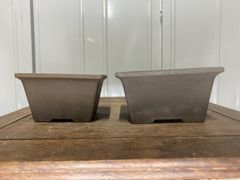盆栽鉢　鳥泥　正方　2点セット　寄せ植え　小品盆栽　雑木　観葉植物　多肉植物　山野草　花　松盆栽　松柏　盆栽　園芸　鉢　植木鉢