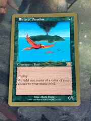 2025年最新】極楽鳥 mtgの人気アイテム - メルカリ