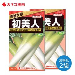 ダイコン 種 ２袋セット 病気に強い 緻密な肉質でおいしい ス入りが遅い 初夏美人 青首大根 野菜の種 畑 カネコ種苗