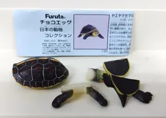2025年最新】海洋堂 セマルハコガメの人気アイテム - メルカリ