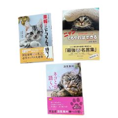 【古本】深見東州　ネコ本　3冊