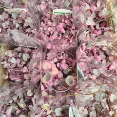 くれないヒカル様専用ページ ♡斑入りハートカズラ 2ポット