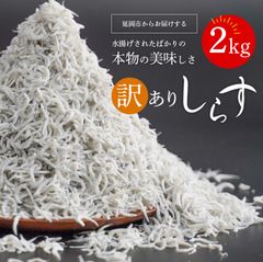 産地直送　宮崎県産　しらす　2kg     訳あり　冷蔵便でお届け！　シラス　しらす干し　カルシウム　延岡市