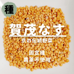 【種】丸ナス　賀茂なす　農薬不使用　30粒