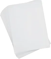 ZERONOWA 剥離紙シート フレークシール ラベルシール 粘着台紙 片面剥離 A4サイズ 100枚セット( A4)