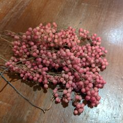 ペッパーベリー【ナチュラルピンク】