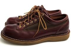 ダナー／Danner ワークブーツ シューズ 靴 メンズ 男性 男性用 ナイロン レザー 革 本革 レッド ブラウン 赤 茶  D214251 WILLAMETTE VALLEY ウィラメット バレー Vibramソール