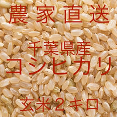【農家直送】千葉県産 コシヒカリ 玄米 2キロ 生産者直送 送料込み