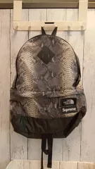 THE NORTH FACE x Supreme ノースフェイス シュプリーム snake lightweight daypack 18ss リュック バックパック ストリート メンズ コラボ
