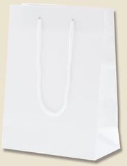 新品 シモジマ (ヘイコー) 手提紙袋 ブライトバッグ T-3 白 1枚入
