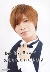 深町寿成 ブロマイドセット 深町寿成のVバラ!!! ランダムブロマイド2枚セット: その他グッズ