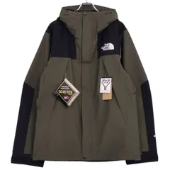 未使用 ザノースフェイス THE NORTH FACE パーカー Mountai