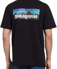 patagonia(パタゴニア) 新品 メンズ 半袖Tシャツ ( M100 ）