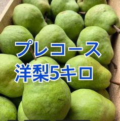 洋梨　プレコース　5キロ