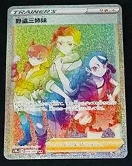 ポケモン - あんちゅさん専用　　0052 サイトウ　野党三姉妹 HR2枚セット他ヒナツハマナ ポケモンカード野盗三姉妹他 12枚 - メルカリ