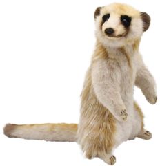 Item thumbnail for item 618420c2-e924-419b-b197-715d5da67504