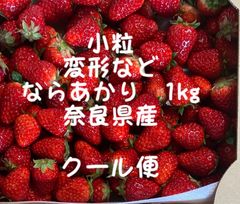 ならあかり　1kg 小粒　変形　加工用　クール便　奈良県　農家直送　いちご　イチゴ　苺