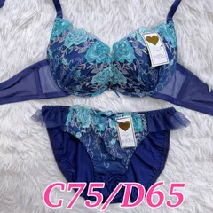 ブラショーツ セット売り 下着上下 下着 C75 D65 刺繍 花柄 エレガント 豪華 紺  ネイビー 下着 259038m