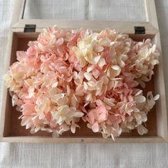 プリザーブドフラワー アジサイ 約13g (ピーチクリーム) OC 未使用品 ピラミッド 紫陽花 ヘッド