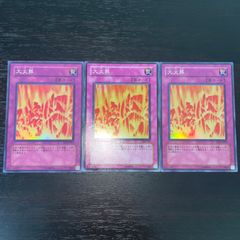 31. 遊戯王　大火葬　スーパー　3枚 ゲートボール 環境