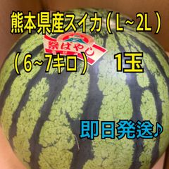 産地直送　熊本県産　スイカ×1玉　L～4Lサイズ(6～10キロ)