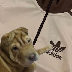 希少4XL⭐️新品 adidasトラックジャケット 刺繍 ベージュ×モカブラウン 希少4XL⭐️新品 adidasトラックジャケット 刺繍 ベージュ×モカ
