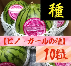 2025年最新】ピノガール スイカの人気アイテム - メルカリ