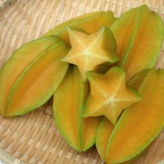 沖縄県産 スターフルーツ 約2kg