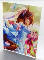 【中古】アクリルスタンド・アクリルパネル ダイワスカーレット ビジュアライズスタンド 「一番くじ ウマ娘 プリティーダービー 9弾」 D賞