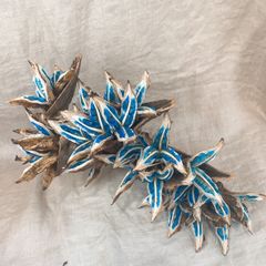 旅人の木 タビビトノキ 9節 - メルカリ