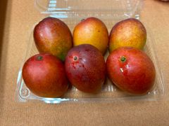沖縄県産マンゴー　訳あり1.5kg