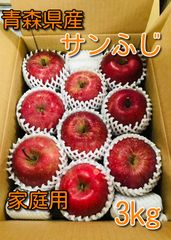 青森県産りんご「サンふじ」家庭用・キズ有 約3kg【フルーツキャップ】