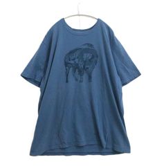 【中古C】Patagonia パタゴニア XL メンズ 半袖Tシャツ 青 2016年製 中古C 古着